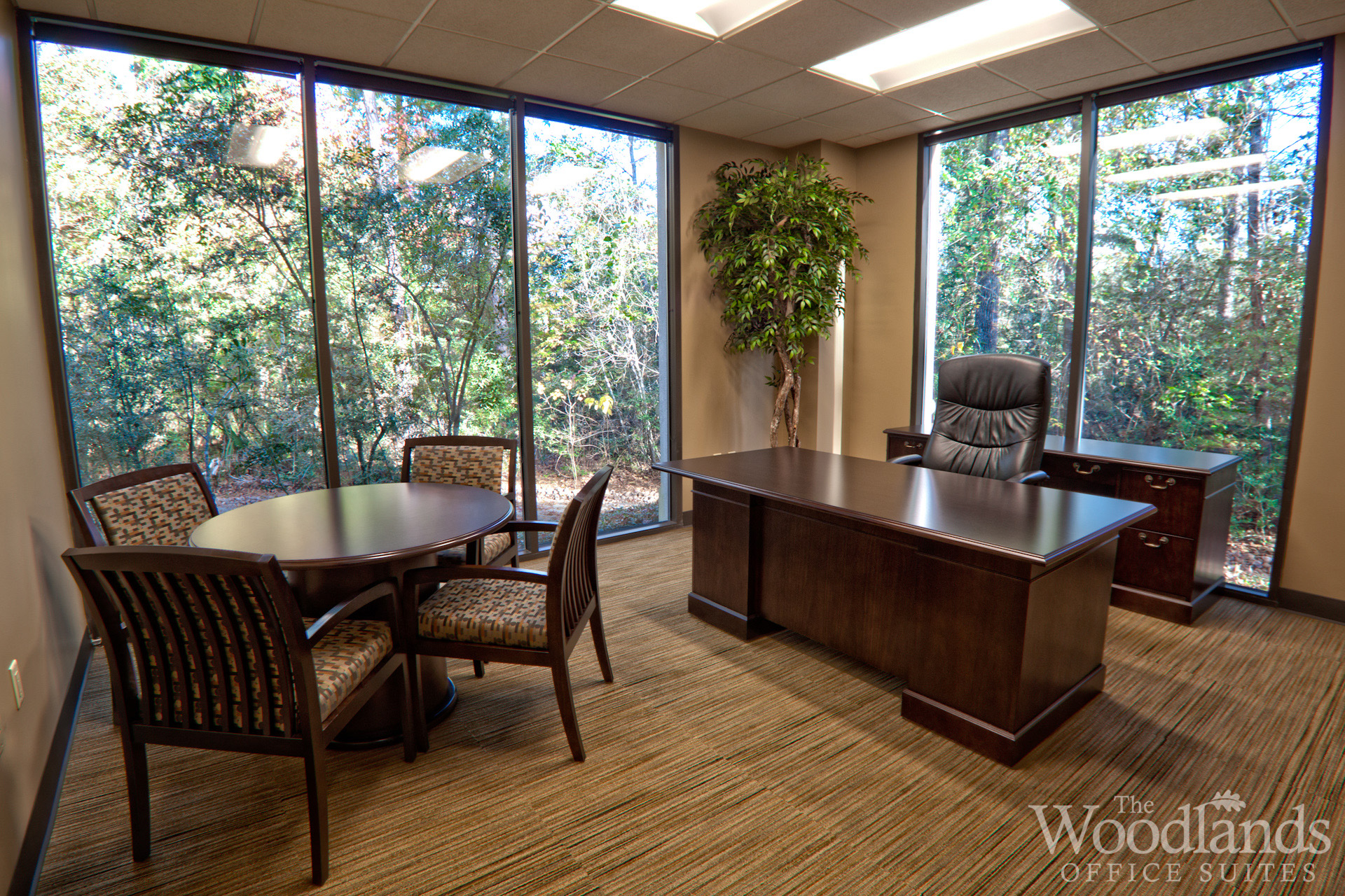 Corner Office Suites offer a spectacular view of The Woodlands